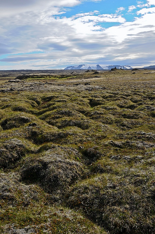 ABC_4879.jpg - Hveravellir - Un paysage bossel recouvert de mousses assez frquent en Islande.