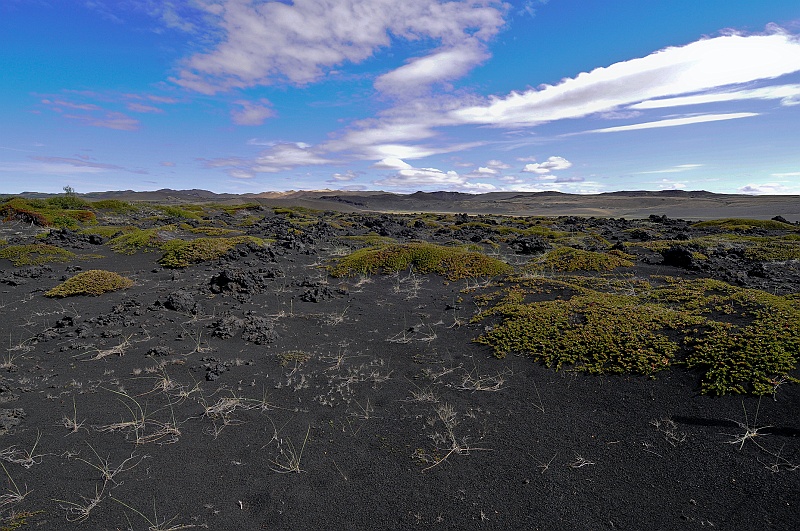 ABC_5187.jpg - La zone de cendres autour du volcan Hverfell.
