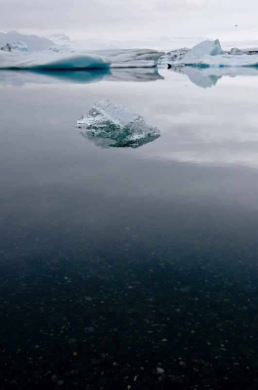 ABC_6187.jpg - Le lagon de Jkulsrln - L'eau limpide et la faible profondeur participent  crer l'ambiance frique du lieu.