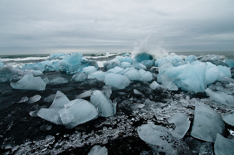 ABC_6347.jpg - Aprs plusieurs annes de fonte, ces icebergs russissent  passer l'troit chenal qui relie le lagon  la mer et ils finissent leur vie sur la plage de sable noir sous forme de petits glaons trs dcoups rejets par la mare.