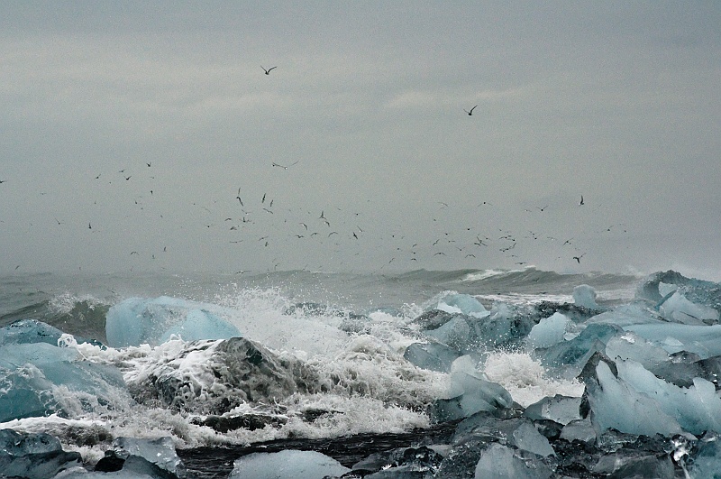 ABC_6352.jpg - Les icebergs sont tous de tailles et de formes diffrentes, d?autant plus que leur fonte est constante (soleil, rosion de l?eau). Les plus petits morceaux de glace drivent jusqu? la mer via la rivire Jkuls. Certains chouent sur les plages de sable noir.