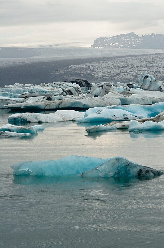 ABC_6379.jpg - Jkulsrln - Les icebergs affichent plusieurs variantes de couleurs, du bleu, du turquoise au bleu fonc, il y a du jaune qui vient du sulfure volcanique, du noir qui vient de la cendre des volcans et du blanc en plusieurs nuances.
