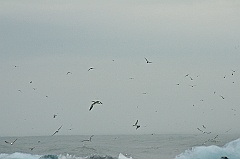 ABC_6355