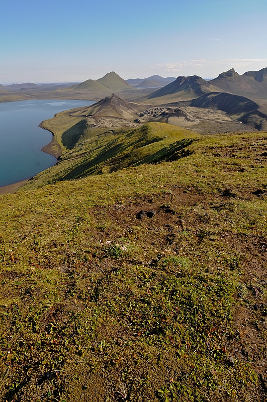 ABC_5916.jpg - Entre le lac Frostastadavatn et la vall�e de la rivi�re J�kulgilskv�sl, la route longe un cone parfait couvert de mousse, Stutur.