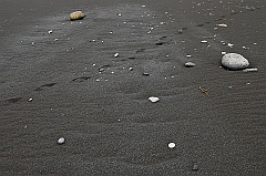 ABC_6429