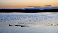 Myvatn